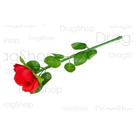 Регенерирующая роза