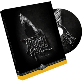 The Trojan Horse  by Steven Himmel