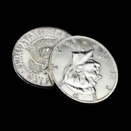 Flipper Coin