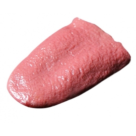 Искусственный язык (Fake tongue)