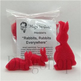 Rabbits, Rabbits Everywhere by Gosh