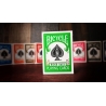 Bicycle Rider Back Green
