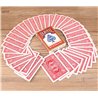 Electric Deck (Waterfall Cards) Red