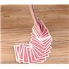 Electric Deck (Waterfall Cards) Red