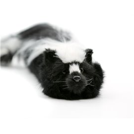 Sammy The Skunk Spring Animal