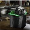Sammy The Skunk Spring Animal