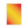 NOC Colorgrades Desert Orange