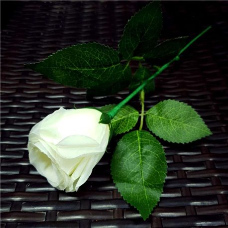 Rose Light set RED by JL Magic
