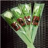 Rose Light set RED by JL Magic