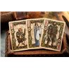 The Lord of the Rings: The Fellowship of the Ring