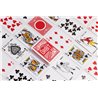 Orbit x Tally-Ho Red