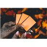 Noctober