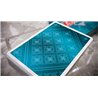 Oxalis (Teal Edition)